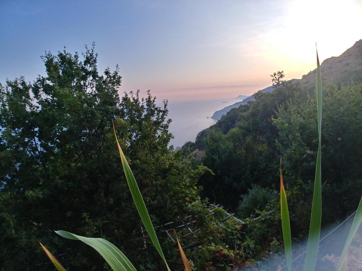 דירות אמאלפי Giardino Sul Mare מראה חיצוני תמונה